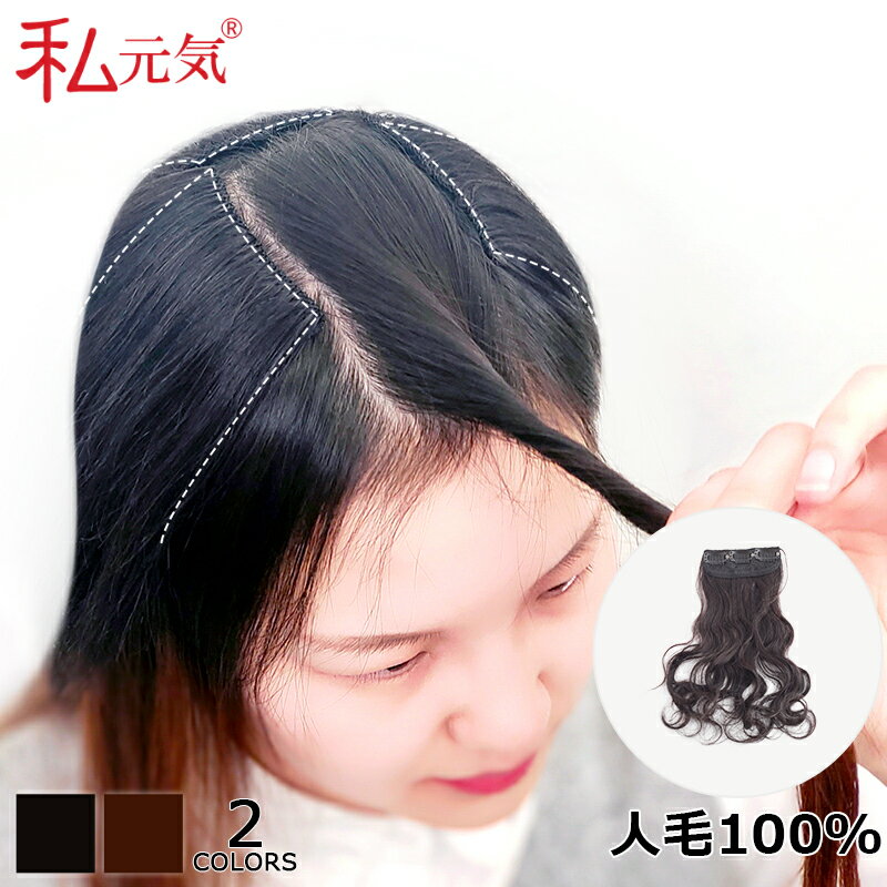 私元気ウィッグ・かつら専門店『ミニつけ毛人毛100%M』