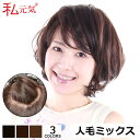 【返品交換OK!送料無料】人毛 フルウィッグ ウィッグ ショート 医療用ウィッグ 女性 かつら ミセス 通気性 夏 私元気 JH502040