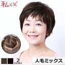 【返品交換OK!送料無料】人毛 フルウィッグ ウィッグ ショート 医療用ウィッグ 女性 かつら ミセス 通気性 夏 私元気 JH507162X