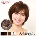 【返品交換OK!送料無料】人毛 フルウィッグ ウィッグ ショート 医療用ウィッグ 女性 かつら ミセス 通気性 夏 私元気 JH50S20