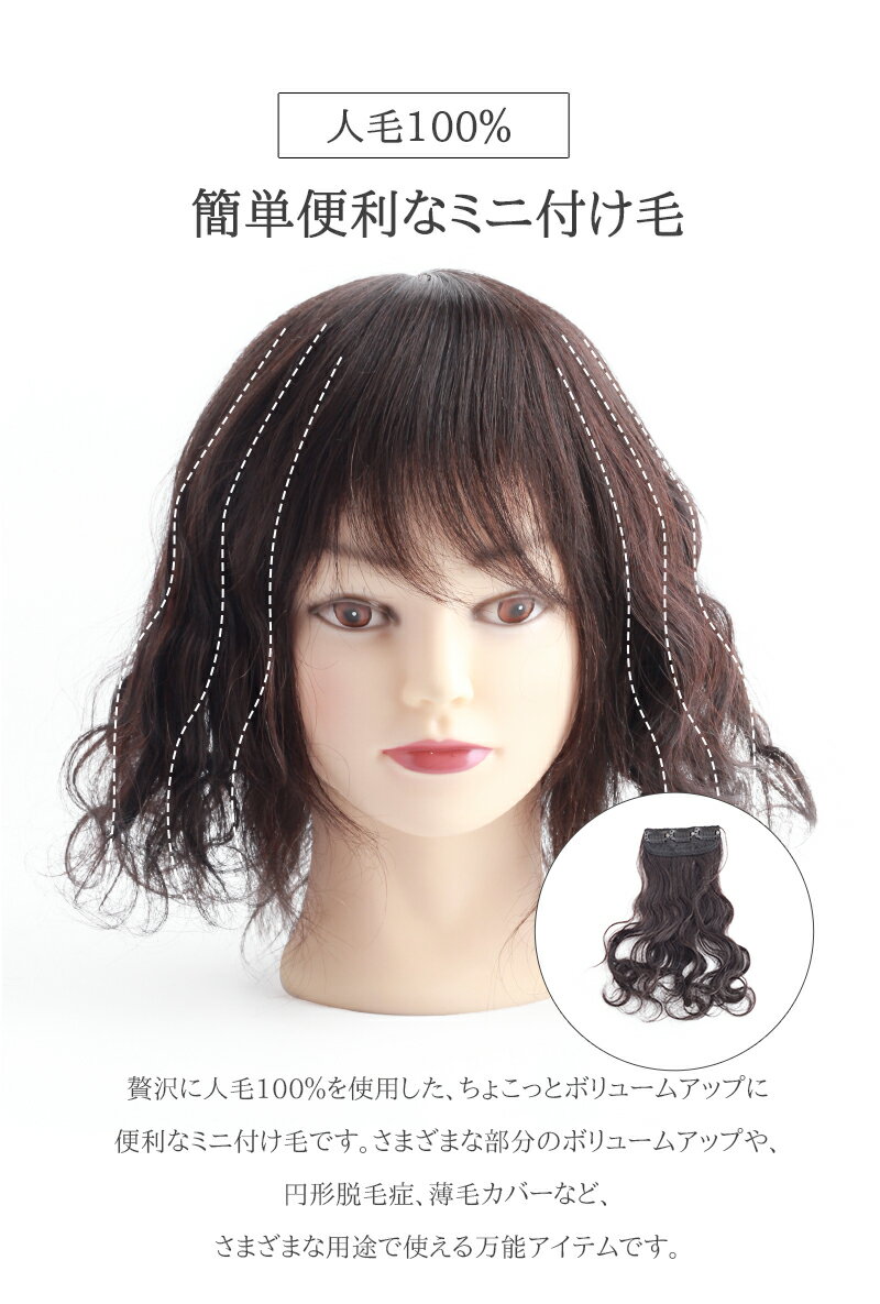 私元気ウィッグ・かつら専門店『ミニつけ毛人毛100%M』