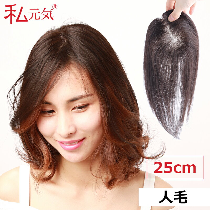 人毛 部分ウィッグ【25cm】前髪ウィッグ 人毛 ウィッグ かつら ポイントウィッグ 白髪かくし つけ毛 私元気 BHAD710-25のサムネイル