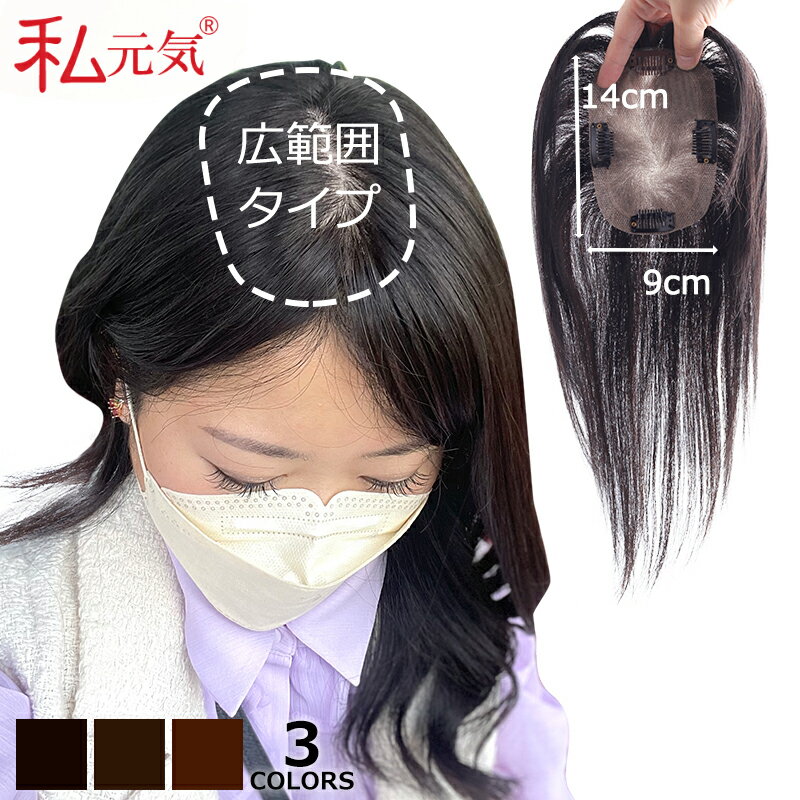 部分ウィッグ 頭頂部 広範囲 ヘアピース 女性 人毛 全国試着OK 大面積 9×14cm 白髪隠し 艶髪 自然 通気性 分け目自由 高品質 総手植え 15cm 25cm 30cm 35cm 40cm ポイントウィッグ リアル 白髪かくし つけ毛 トップカバー 広範囲カバー 白髪カバー 薄毛 私元気 914