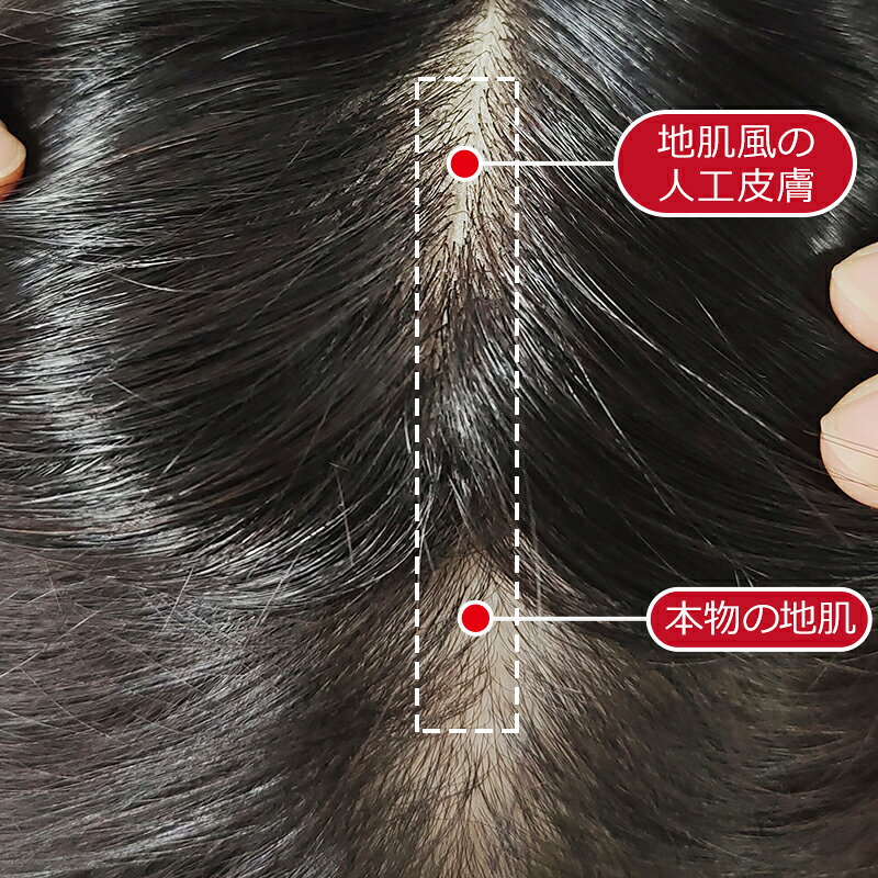 �ǹ�� ��ߡ��إ� ���񥫥å�/����OK ������ 8��12cm ��ʬ�����å� Ƭĺ�� ���� ���� �ȥåץԡ��� ���� �إ��ԡ��� ��ȱ���� ���� �̵��� ʬ���ܼ�ͳ ���ʼ� ���꿢�� 30cm 35cm 40cm ��ȱ������ �ꥢ�� �ȥåץ��С� �����к� �丵�� 812