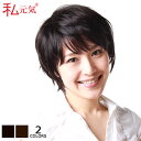 全国カット/返品OK 人毛 医療用ウィッグ ショート 医療用かつら 女性 かつら フルウィッグ 自然 ミセス ウイッグ 黒 ブラック ダークブラウン ブラウン ...