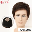 人毛100% 男性かつら 男 8分 ウィッグ メンズ かつら 薄毛 増毛 私元気 GHH005