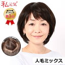 【返品交換OK!送料無料】人毛 フルウィッグ ウィッグ ショート 医療用ウィッグ 女性 かつら ミセス 通気性 夏 私元気 JH502042K