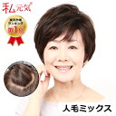 【返品交換OK!送料無料】人毛 フルウィッグ ウィッグ ショート 医療用ウィッグ 女性 かつら ミセス 通気性 夏 私元気 JH30S004-N2