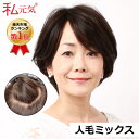 人毛 ミックス 医療用 ウィッグ ショート ボブ 私元気 JH30S005-N2