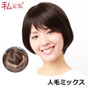 人毛 ミックス 医療用 ウィッグ ショート ボブ 私元気 JH30S007-N2