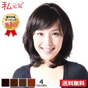 ウィッグ ミディアム セミロング 女性 かつら フルウィッグ 私元気 M3C7-C5