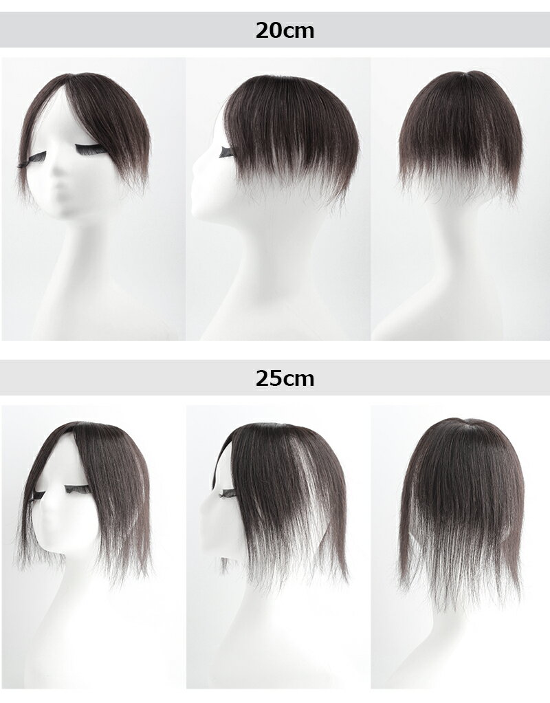 部分ウィッグ人毛スタイルバリエーション画像_BHA710-25
