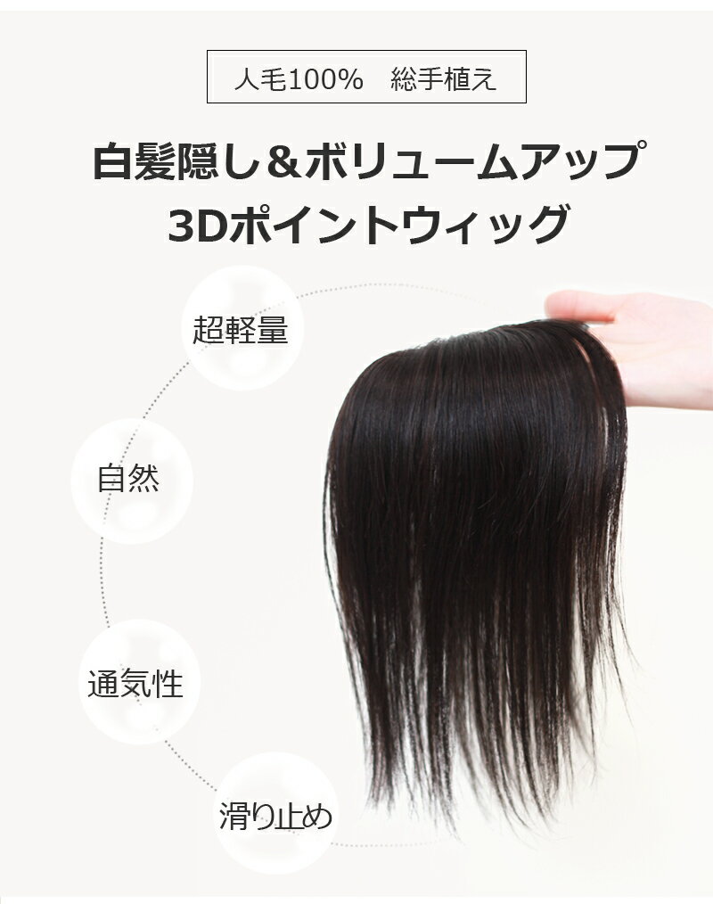 部分ウィッグ白髪隠し画像_BHA710-25