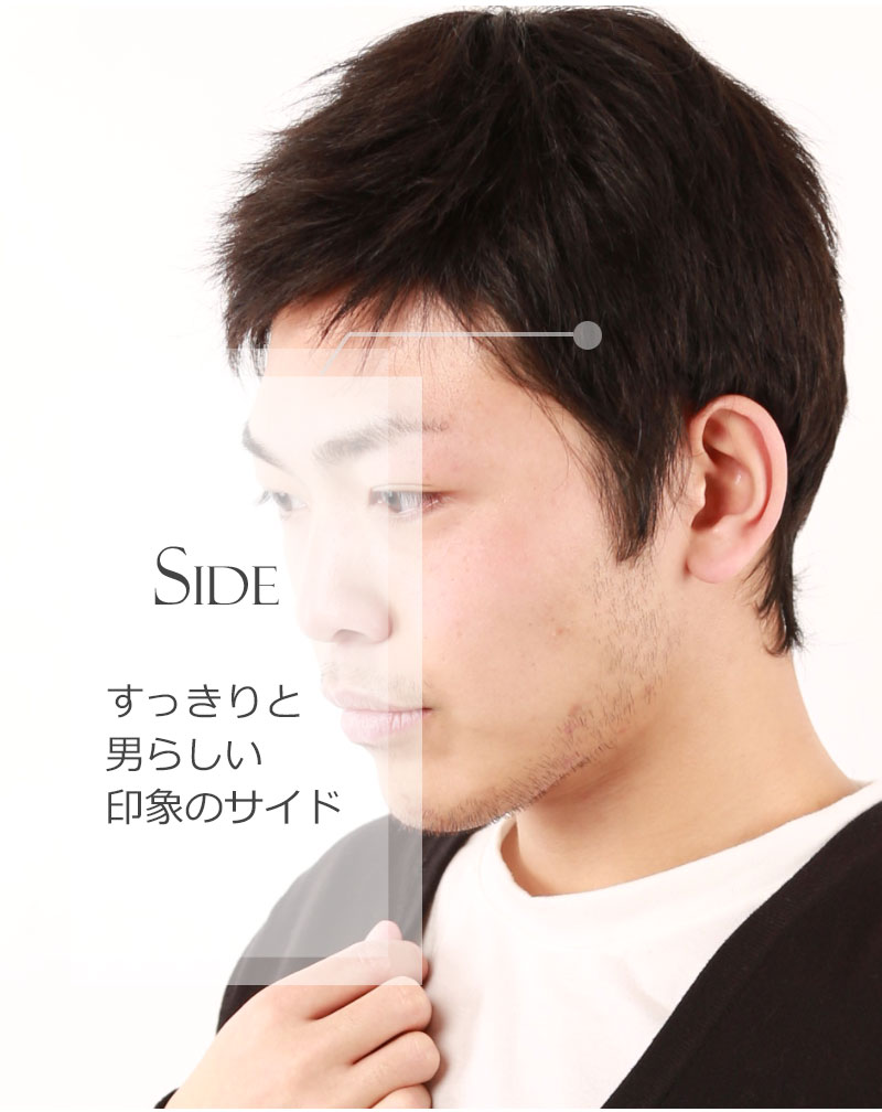 人毛100%男性かつら男ウィッグフルウィッグかつらウイッグ白髪隠し増毛薄毛GI002