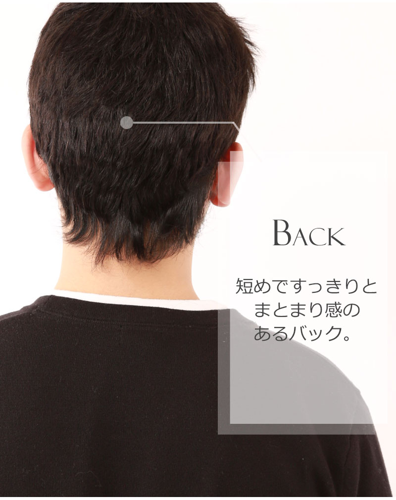 メンズウィッグ_GI002