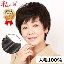 【返品・交換OK】人毛 フルウィッグ 人毛 ウィッグ ショート 総手植え 医療用ウィッグ 私元気 THH829