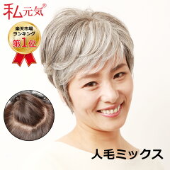 https://thumbnail.image.rakuten.co.jp/@0_mall/auc-igennki/cabinet/wigshop_jh30s002-w82.jpg