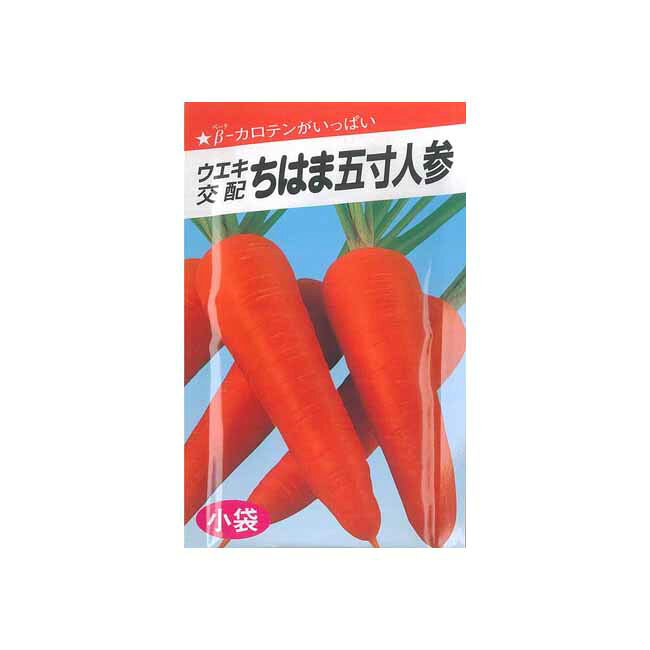 ●病気に強く作りやすい。（黒葉枯れ病、しみ腐れ病）。 ●ニンジン臭みが少なく、甘くておいしいニンジンです。 種苗会社 横浜ウエキ ・数量：Lコート1万粒 ・種苗会社：横浜植木 ■注意事項 取寄せ商品につき通常2-5営業日程での発送となります。メーカー欠品の場合は、ご注文をお受けできない場合やお届け日をご相談させていただく場合がございます。予めご了承ください。 また、メーカーより直送させていただく場合がございます。　