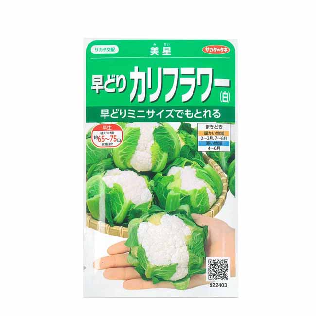 サカタのタネ ミニカリフラワー 種 美星 実咲小袋のサムネイル