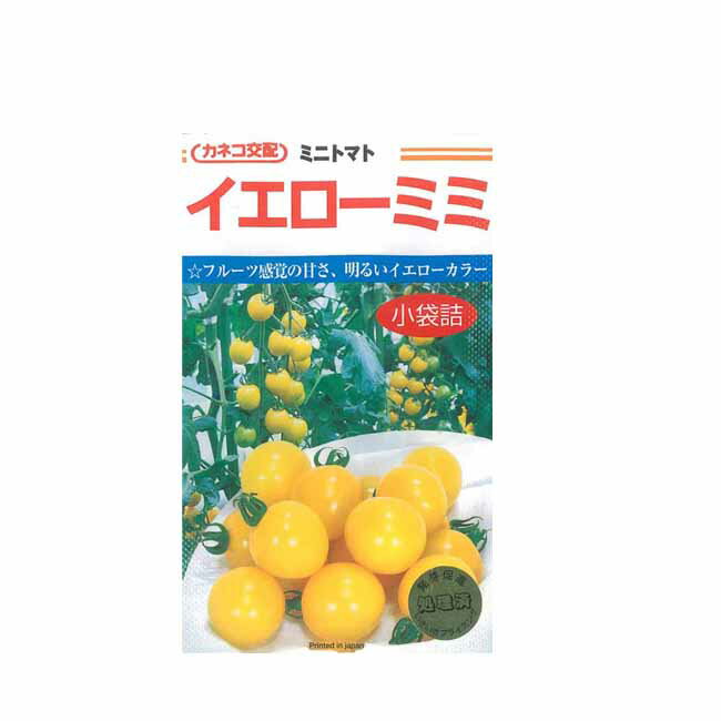 カネコ種苗 ミニトマト 種 イエローミミトマト 小袋のサムネイル