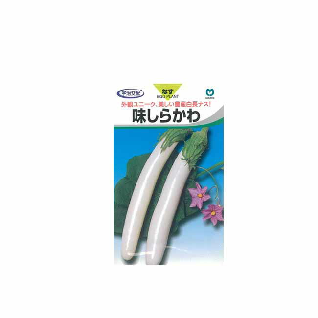 丸種 ナス 白長茄子 種 味しらかわ 小袋のサムネイル