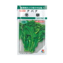 タキイ種苗 菜花 種 冬華 GF(小袋)