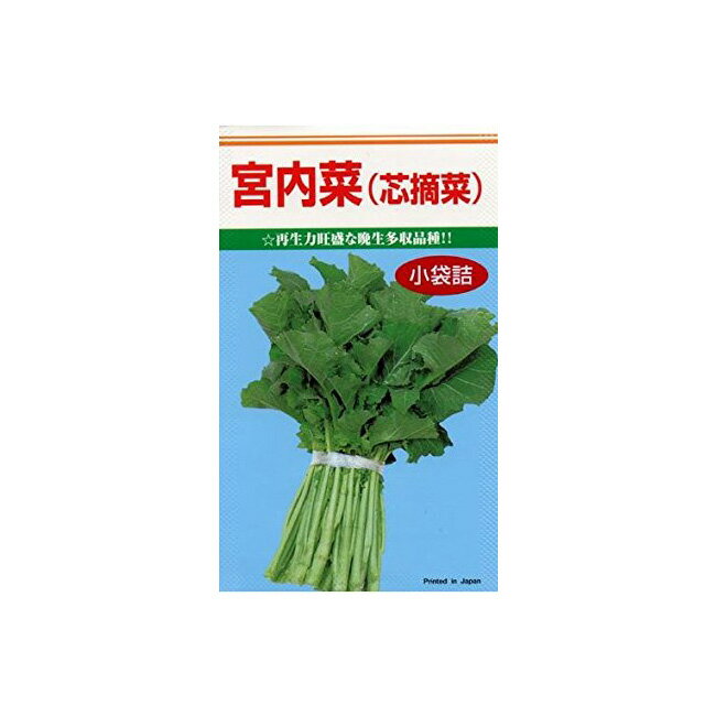 カキナ 種 宮内菜(芯摘菜）小袋