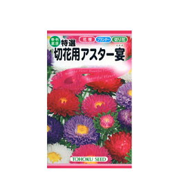 トーホク 花の種 特選切花用 アスター宴