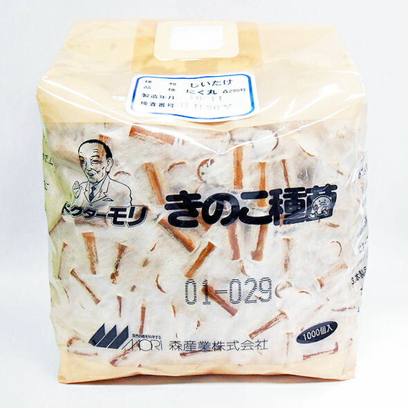 原木栽培用 キノコ種菌（種駒菌） しいたけ にく丸 森290号 秋春出 1000駒