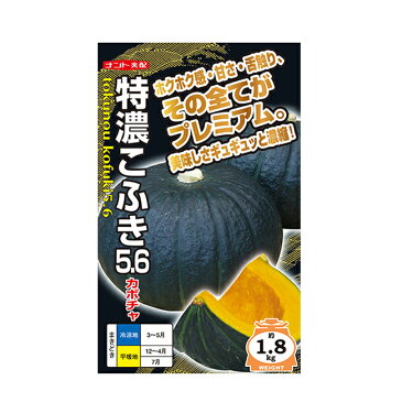 カボチャ 種 特濃こふき5.6 8粒 ナント種苗