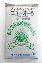緑肥 ニューオーツ 1kg カネコ種苗