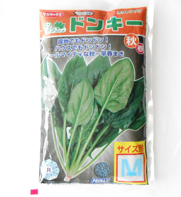サカタのタネ ほうれん草 種子 ドンキー M3万粒