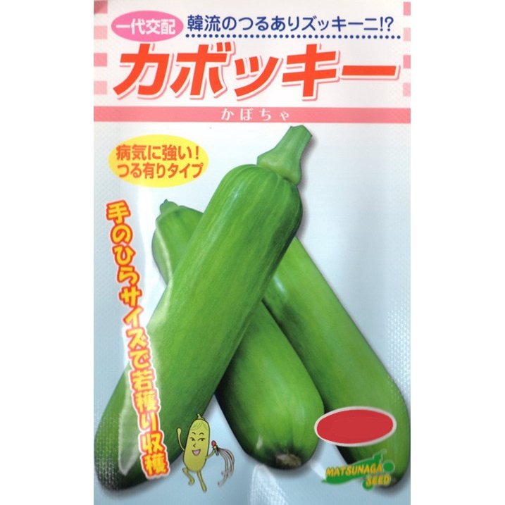 松永種苗 韓流つるありズッキーニ カボッキー南瓜 小袋のサムネイル