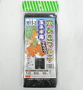 シンセイ タマネギ用 穴あきマルチ 黒 9515-2 孔径20mm 10m