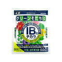 Ԃ IB̃`JO[EX 500g