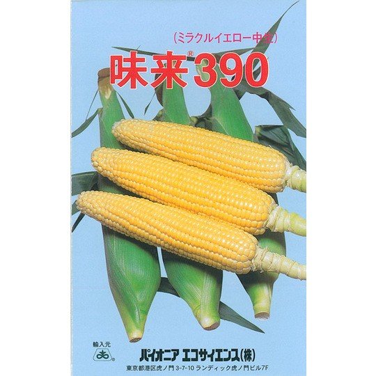 とうもろこし 種 味来390 45ml（約180粒）