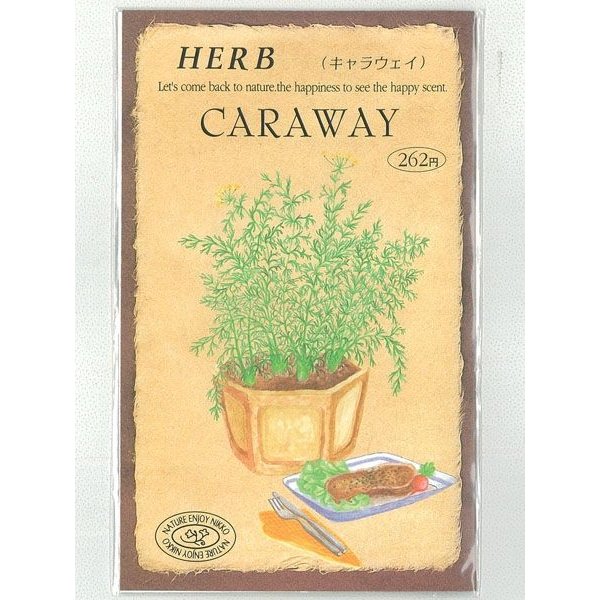 日光種苗 ハーブ種 キャラウェイ 0.3ml
