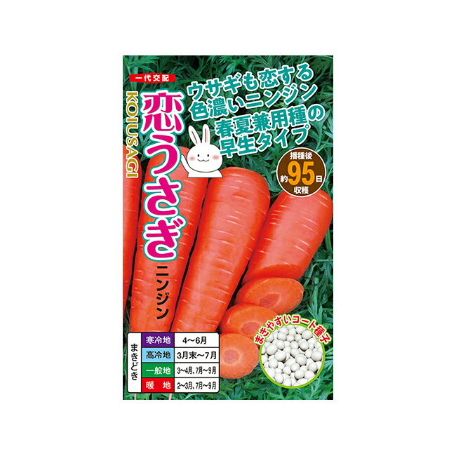 ナント種苗 ニンジン 種 恋うさぎ(早生95日タイプ) コート1万粒