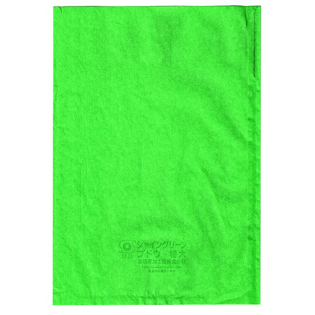 緑ぶどう専用 果樹袋 シャイングリーン 特大 218×315mm 100枚