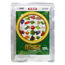 殺菌剤 カンタスドライフロアブル 100g