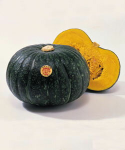 タキイ種苗 カボチャ 種 えびす 100粒