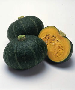 Other - タキイ種苗 カボチャ 種 ほっこりえびす 100粒