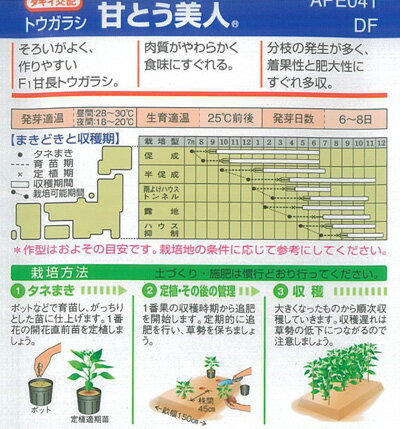 タキイ種苗 トウガラシ 種 甘とう美人DF(小袋）