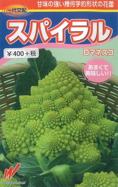 【メール便対応可能】　野菜種　ロマネスコ　スパイラル　30粒　一代交配