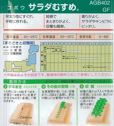 タキイ種苗 ゴボウ 種 サラダむすめ 1dl