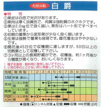 ���պμ�� ���ܥ��� �� ��� 500γ