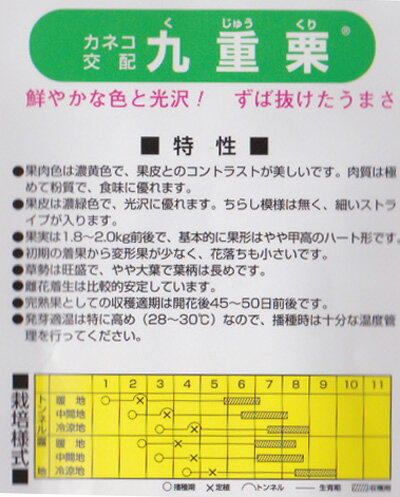 カネコ種苗 カボチャ 種 九重栗