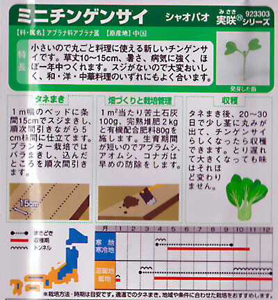 サカタのタネ ミニチンゲンサイ シャオパオ