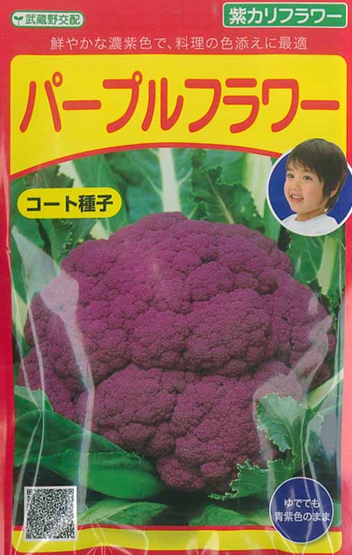 【メール便対応可能】野菜種紫カリフラワーパープルフラワー武蔵野交配40粒