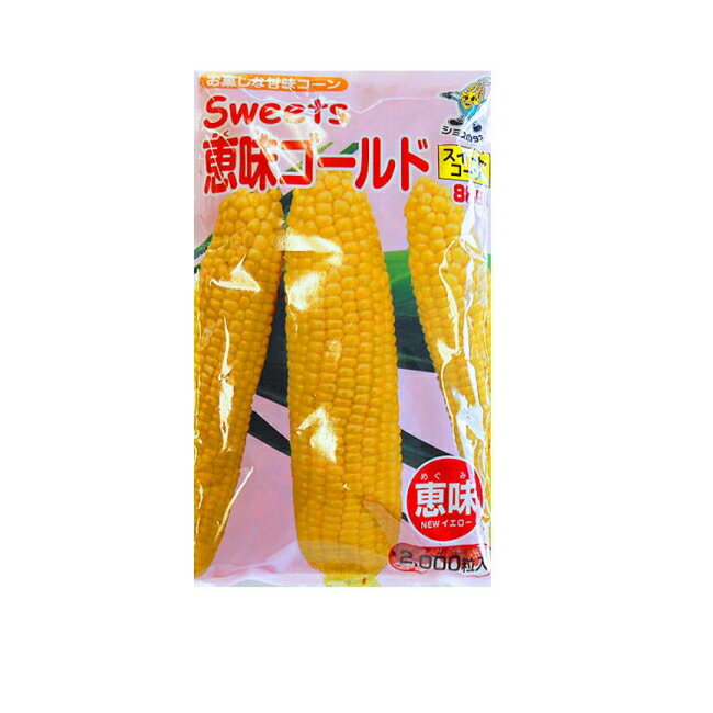 【送料無料】カナー（カイランサイ）種　タイ野菜種　約50粒